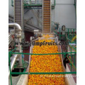 NFC Fruit Orange Juice Line Machinery